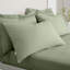 200 Thread Count 100% Cotton Standard Pillowcase Pair-1909484298-1909484301
