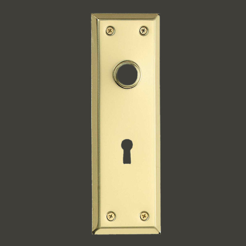 Polished Brass Rectangular Door Back Plate with Keyhole