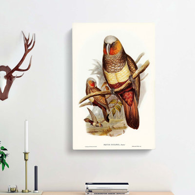 Prince Of Esslings Parrot by Elizabeth Gould - Wrapped Canvas