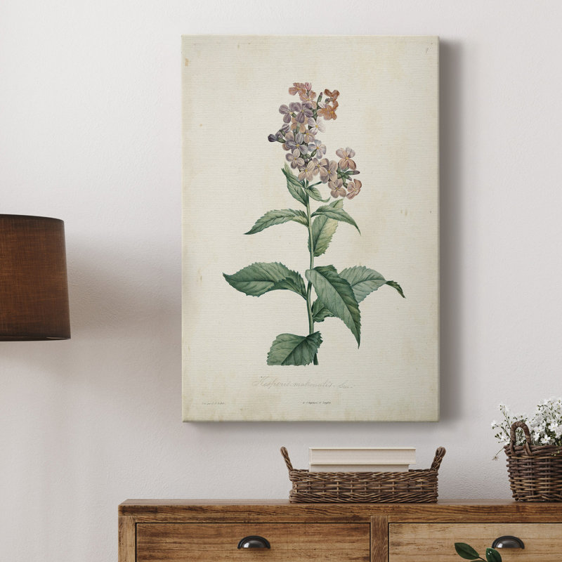 «Traditional Botanical II», impression sur toile tendue, H 36 po x l 24 po x P 1 po