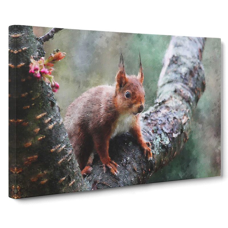 Red Squirrel Vol.1 - Wrapped Canvas Print, 40cm H x 60cm W x 3cm D
