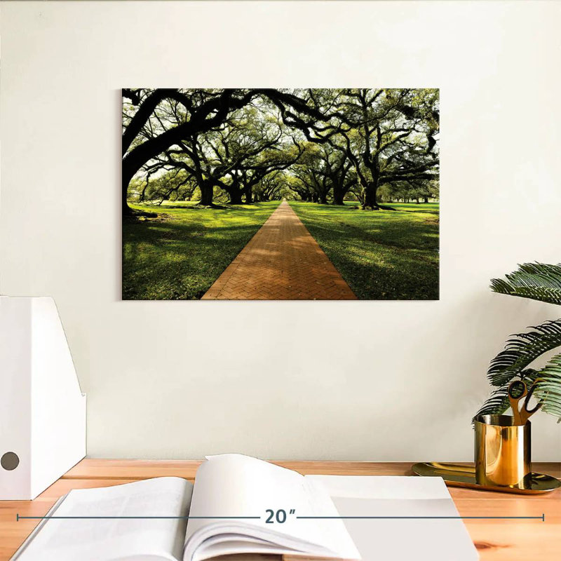 Sirci Old Oak Road, H 8 po x l 12 po