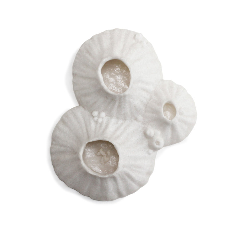 Paleo Barnacle Wall Art, 8'' H x 6.8'' W x 2.5'' D