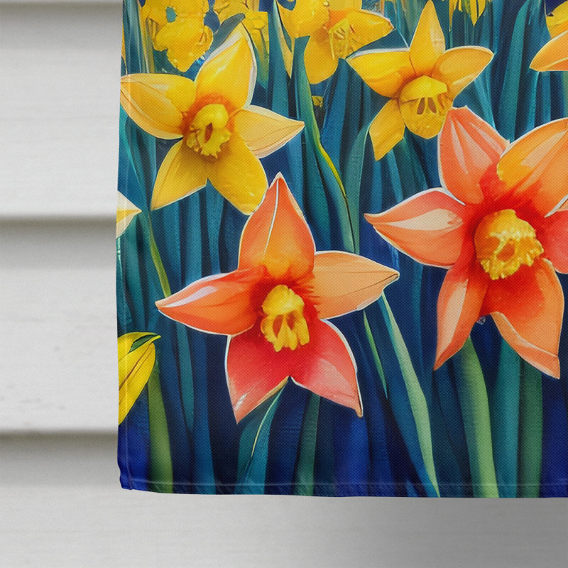 Double Sided 40'' H x 28'' W Polyester House Flag