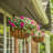 Tingsley Hanging Planter-1130543857-1130543856