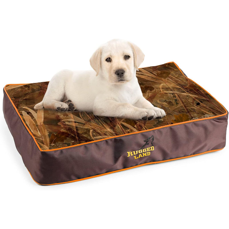 Coussin pour chien avec housse amovible, H 5,1 po x l 23,6 po x P 15,7 po