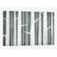 Winter Woods Birches - reproduction murale sur toile-19754286-74759544-74759549
