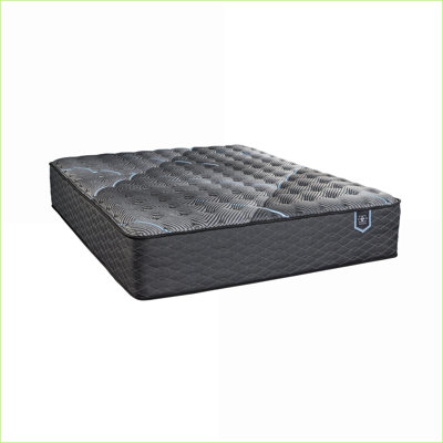 Mattresses | Restonic Restful Night Firm 12.5” Twin XL Mattress | Foam