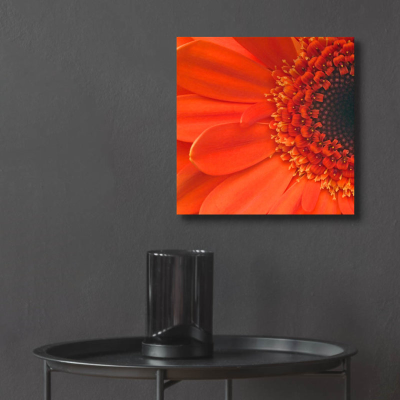 Art mural épique «Orange Gerbera Close up» par Tom Quartermaine, H 12 po x l 12 po x P 0,13 po