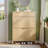 Shoe Storage Cabinet With 2 Flip Drawers