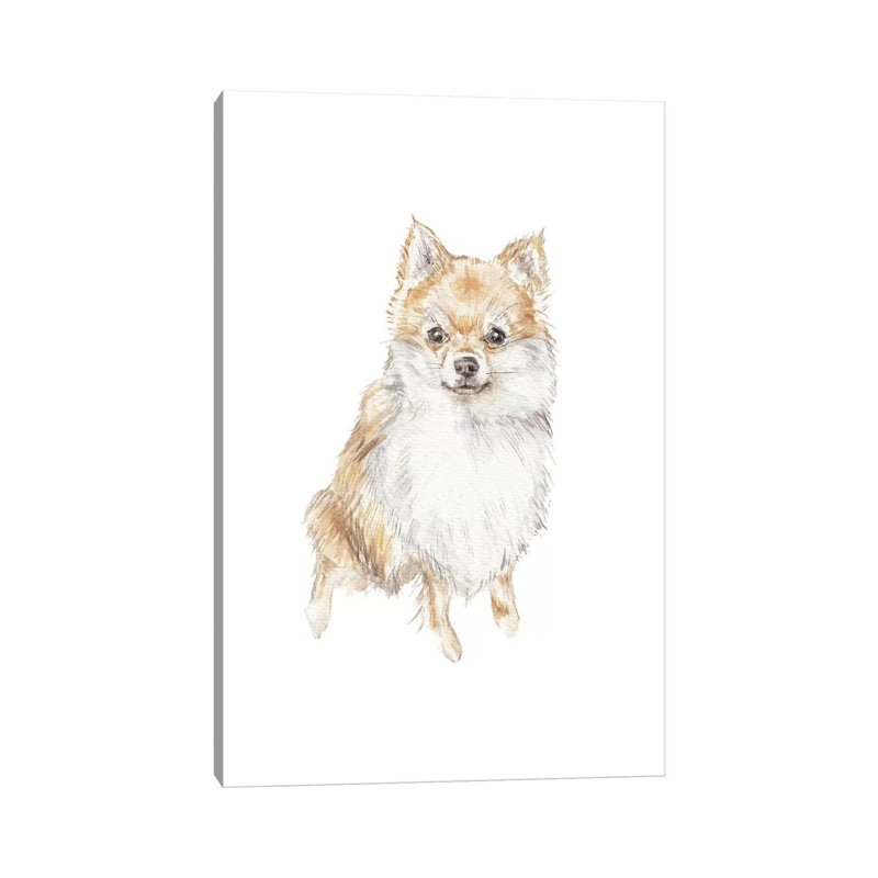 Pomeranian by Wandering Laur - Wrapped Canvas Gallery-Wrapped Canvas Giclée, 66.04 cm H x 45.72 cm W