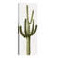 Saguaro Cactus Iii by Mia Jensen - Wrapped Canvas Panoramic Print-1140069350