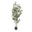 ARBRE DE LAURIER ARTIFIQUE 150CM 150CM-911798766