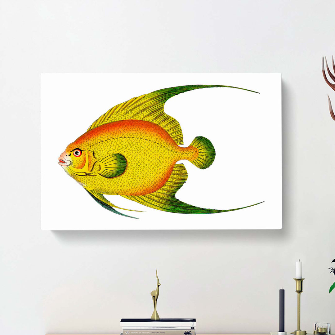 Golden Butterflyfish by George Shaw - Wrapped Canvas