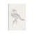 Toile tendue