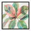«Pink Ficus II», reproduction d'art-55543214-55543216
