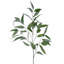 Vaporisateur d'eucalyptus Willow 37 po 