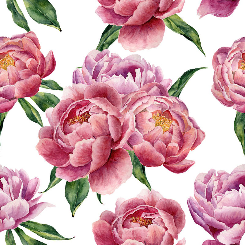 Papier peint pivoines, L 225 po x l 25 po