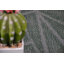 Ensemble de tapis vert Furnish My Place-396523809