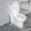 Kichae Elongated One-Piece Modern Toilet, 1.28 GPF Powerfule Flush Floor Mounted Toilet (Seat Included)