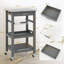 4 Tier Plant Stand