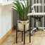 Indro Metal Plant Stand