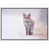 White Frame