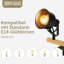 Spotlight-680612314