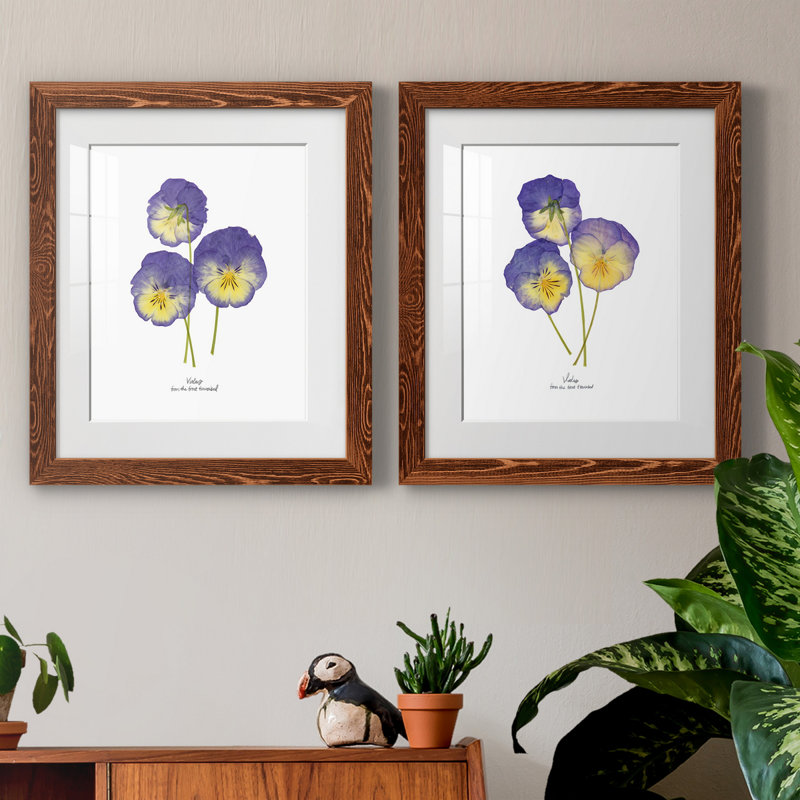 Pressed Violas I - Ensemble de 2 peintures encadrées, Érable, H 24 po x l 36 po x P 1,5 po
