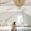 Featherfest Wallpaper-21265650