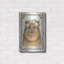 «Bear» par Mary Ann June-1698987257