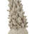 Staghorn Coral Object-117664822