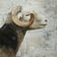 Aries - Reproduction matte encadrée rustique pour la décoration intérieure-1429427564-1429427567