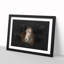 Brown Horse in the Shadows - Picture Frame Painting Print-56855448-56855446