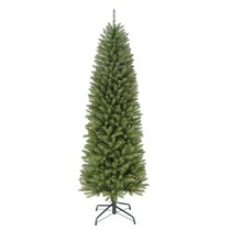 The Holiday Aisle® Birch 48' Traditional Christmas Tree with LED Lights and Remote  Control, Christmas Tree