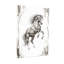 Animaux, cheval, galopant, art dynamique-1274574392