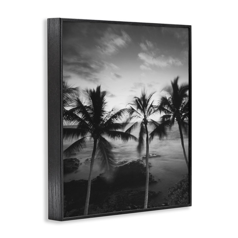 Palmier de la côte, photographie giclée, design par Carol Robinson, H 14 po x l 11 po, Giclée encadrée noir minuit