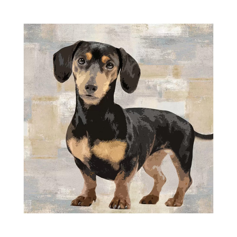 Dachshund 1 Piece Wrapped Canvas Wall Art, 93.98 cm H x 93.98 cm W