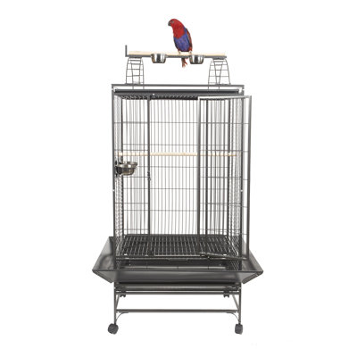 Amble 178cm Play Top Floor Bird Cage with Wheels