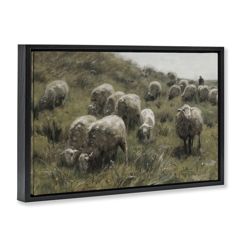 «Sheep At Pasture», toile flottante encadrée par RileyB, Cadre flottant noir de jais, H 17 po x l 25 po