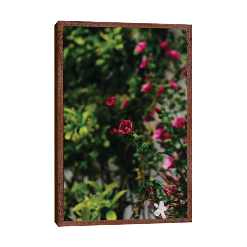Positano Blooms IV 1 Piece Wall Art on Canvas, 66.04cm H x 45.72cm W x 3.81cm D, Classic Brown Wood Framed
