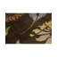 Himalayan Hand Woven Wool Floral Area Rug