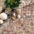 Roehl Oriental Brown Area Rug-1064753858