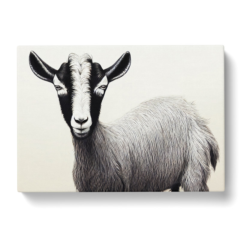 Portrait of a Goat - Wrapped Canvas, 35cm H x 50cm W x 3cm D