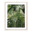 Palm I Print by Vitaliy Paykov-48619985-48619989
