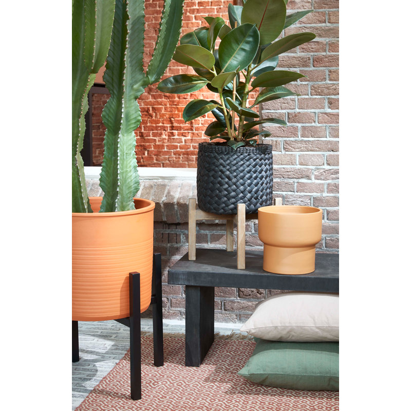Momo Ceramic Pot Planter