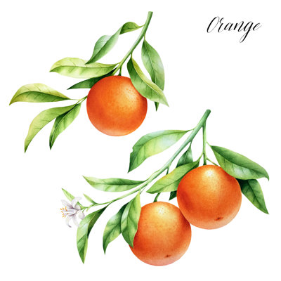 Oranges