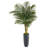 58'' Faux Palm Tree in Clay Planter