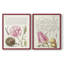Hoefnagel Tropical Specples II - reproduction encadrée de qualité supérieure - prête à être accrochée - aucun clou requis - aucun clou requis-1146195088-1146195094