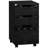 Hilliary 15.75'' Wide 3 -Drawer Mobile File Cabinet-325456372